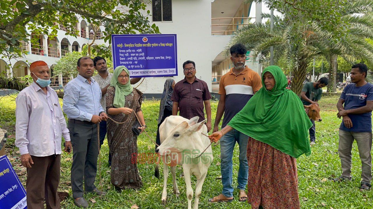 মতলব উত্তরে ৪ জন ভিক্ষুকে পুনর্বাসনের লক্ষ্যে বকনা বাছুর বিতরণ 