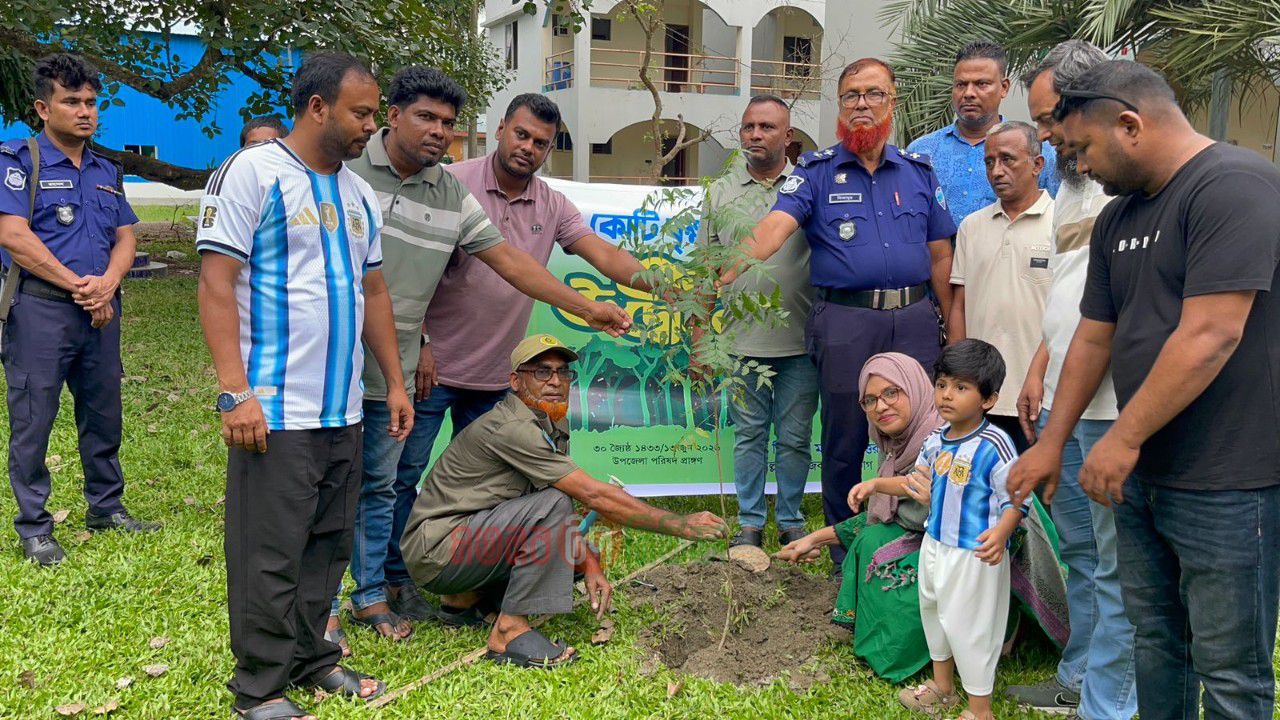মতলব উত্তরে প্রধানমন্ত্রীর ২৫ কোটি বৃক্ষরোপণ কর্মসূচির অংশ হিসেবে বৃক্ষরোপণ কর্মসূচি পালিত